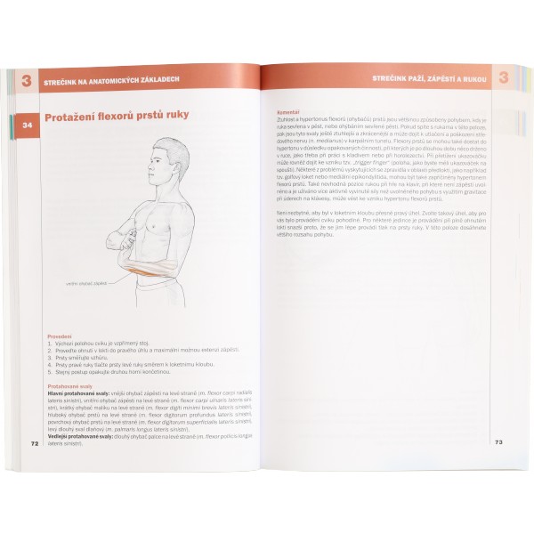 Strečink na anatomických základech (Arnold G. Nelson, Jouko Kokkonen) 4 Strečink na anatomických základech (Arnold G. Nelson, Jouko Kokkonen) - Obrázek 4