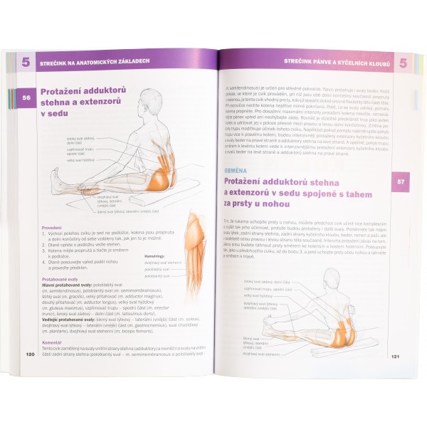 Strečink na anatomických základech (Arnold G. Nelson, Jouko Kokkonen) 5 Strečink na anatomických základech (Arnold G. Nelson, Jouko Kokkonen) - Obrázek 5