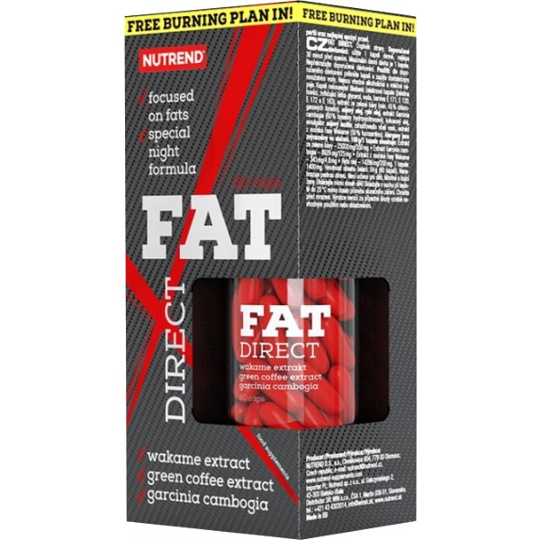 Fat Direct 1 Fat Direct