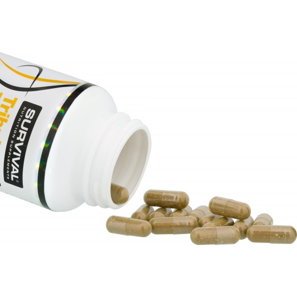 Tribulus Terrestris 90 Fair Power 4 Tribulus Terrestris 90 Fair Power - Obrázek 4
