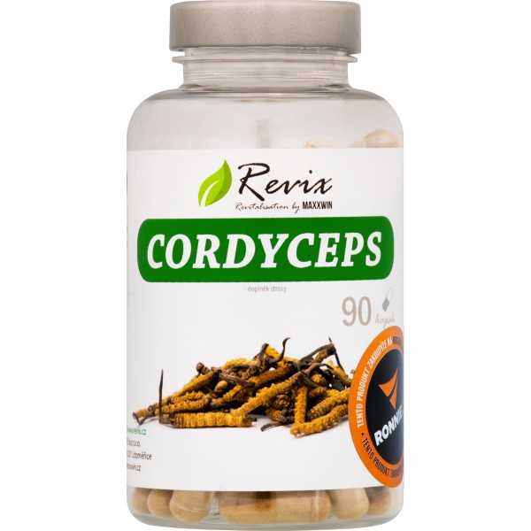 Cordyceps 1 Cordyceps