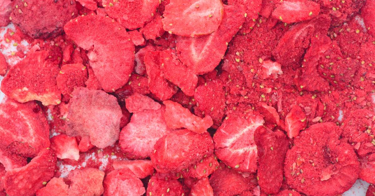 Jak na lyofilizaci doma: Návod na sušení ovoce mrazem krok za krokem pro začátečníky 1 lyofilizované plátky masa s koření, připravené pro dlouhodobé sušení a zachování