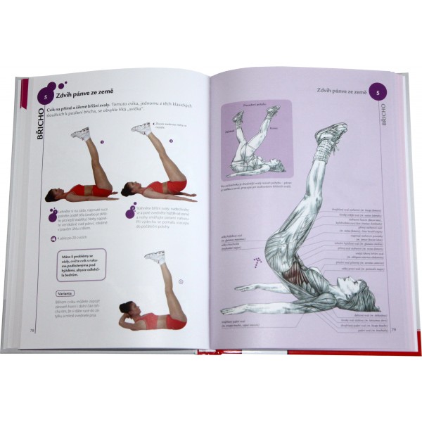 Fitness pro ženy - anatomie (J. P. Clémenceau, F. Delavier) 5 Fitness pro ženy - anatomie (J. P. Clémenceau, F. Delavier) - Obrázek 5