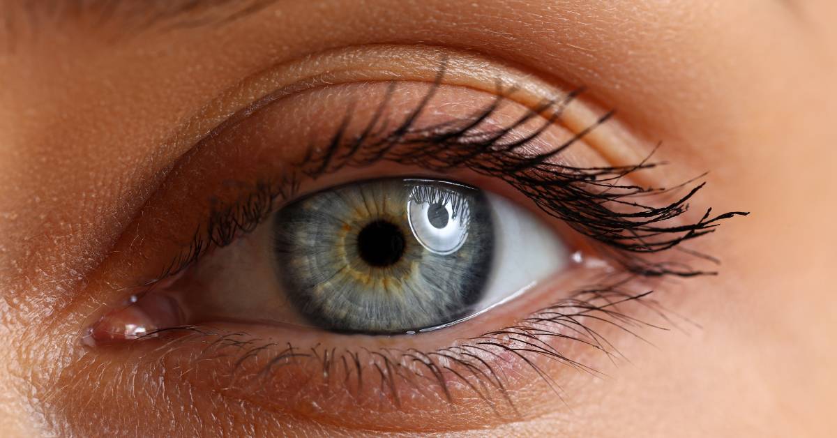 Jak zlepšit zrak na dálku bez operace: 15 Účinných metod a cviků 1 a close-up of a human eye with visible eyelashes, iris, and pupil showing signs of potential presbyopia or age-related changes in zrak