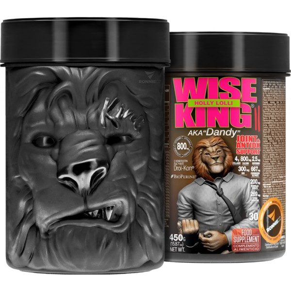 Wiseking® 2 1 Wiseking® 2